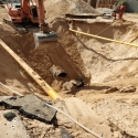 Pioneering Projects: